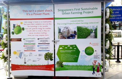 Singapore's first sustainable urban farming project